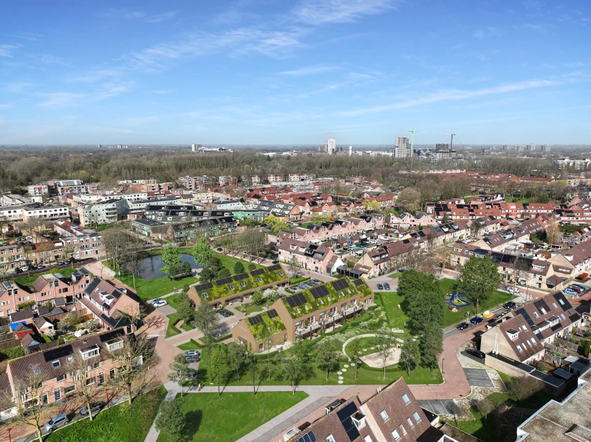 Vogelvlucht